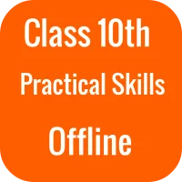 Class 10 Science Practicals